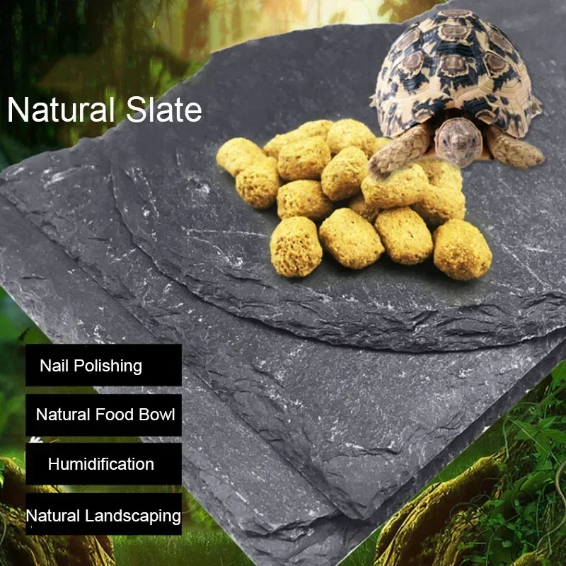 Aquarium Fish Background - Natural Slate Aquarium Pet Reptile Feeder