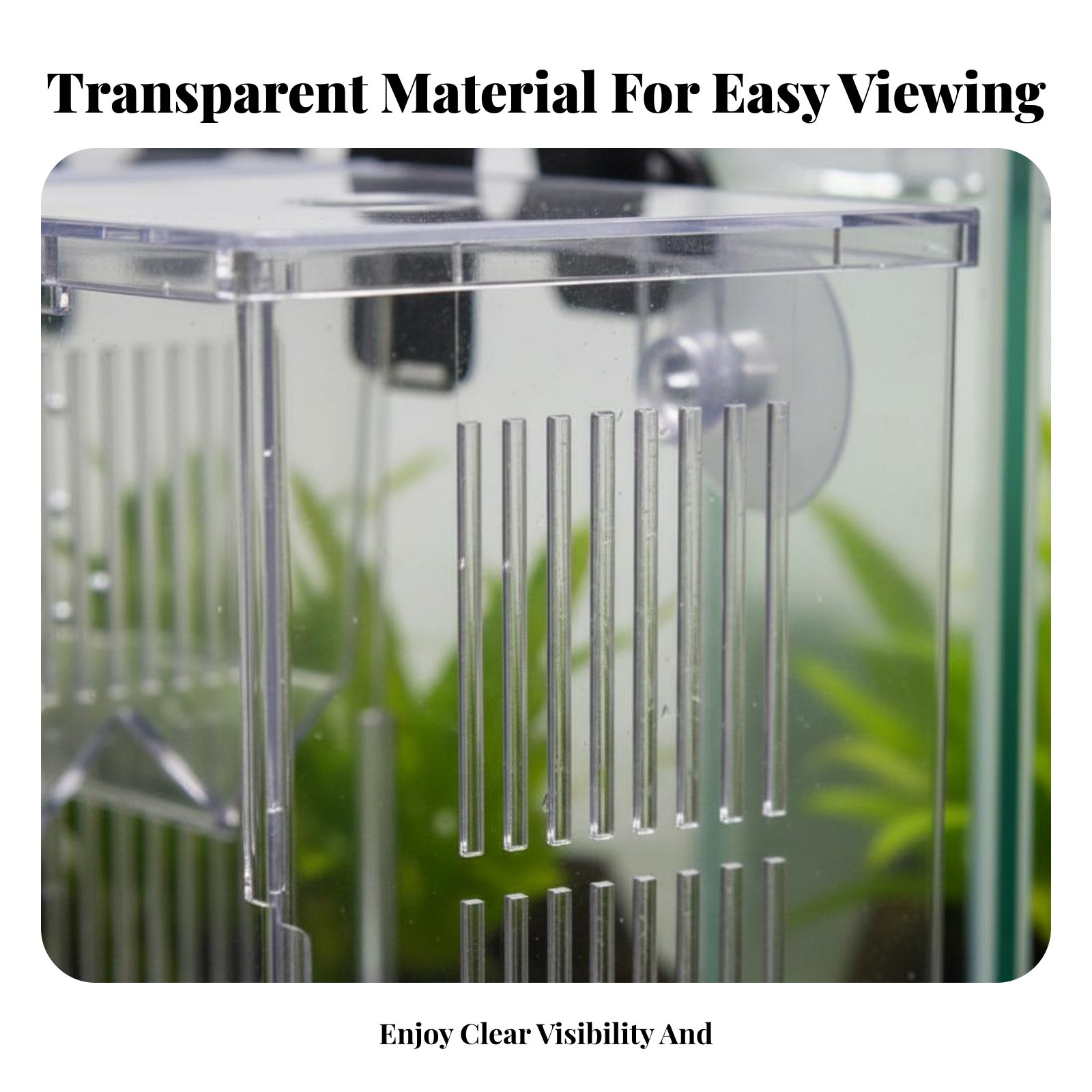 Aquatic Habitat Hatchery Box P - Box Fish In Aquarium review and price