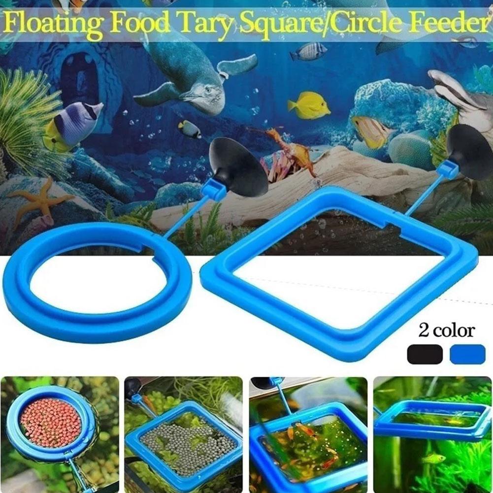 Fish Feeding Ring Feeder Fishi - Tetra Food Tropical Flakes review and price