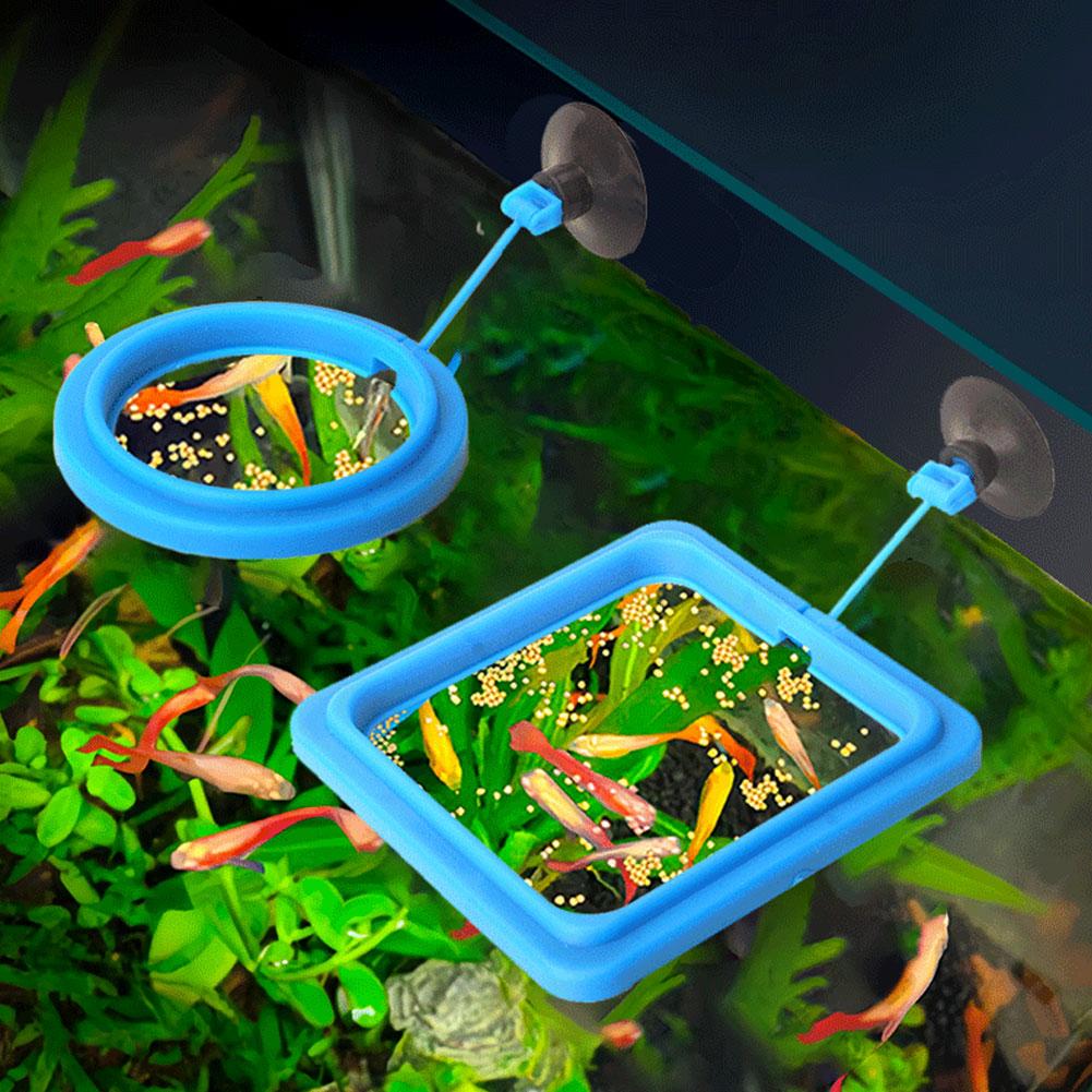 Fish Feeding Ring Feeder Fishi - Tetra Food Tropical Flakes review and price