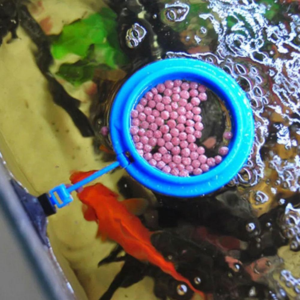 Fish Feeding Ring Feeder Fishi - Tetra Food Tropical Flakes review and price