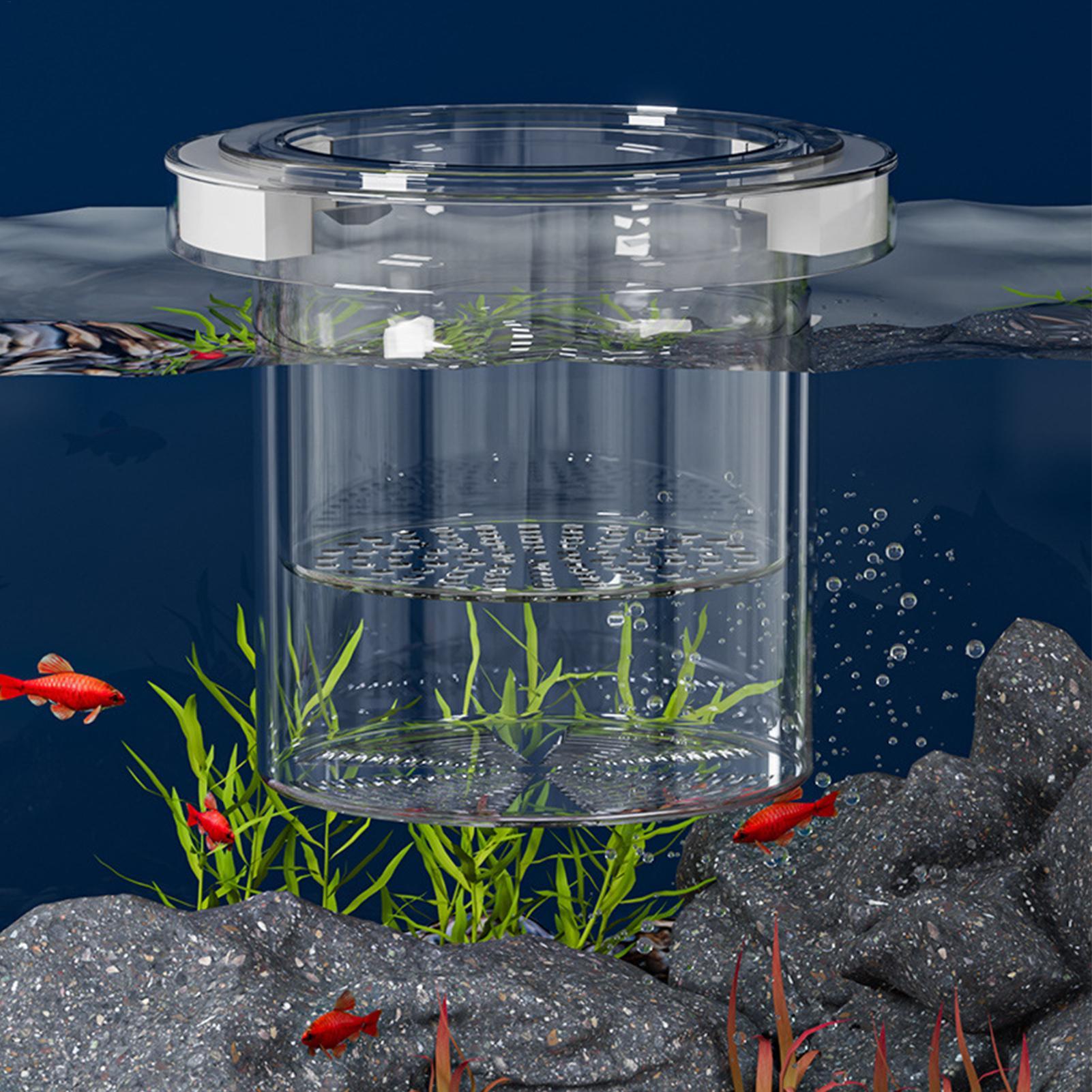 Floating Fish Breeding Isolati - Box Fish In Aquarium review and price