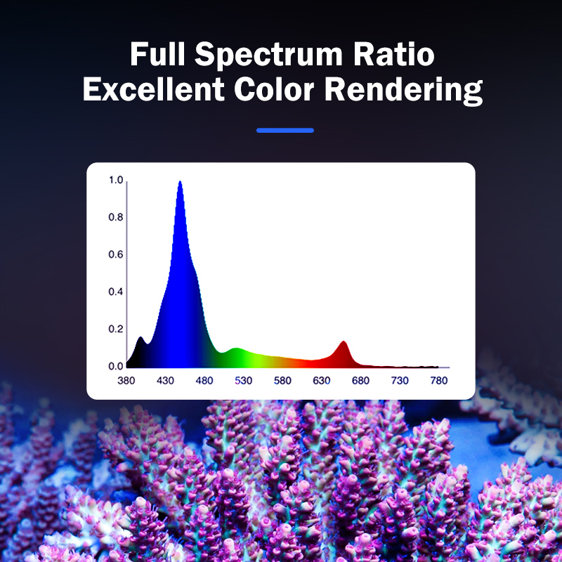 Hot KASSRAY T169/T215 CREEs LE - Aquarium Led Light review and price