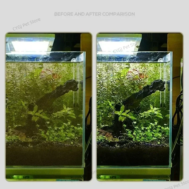 Fish Tank Cleaning Tool Flat S - Algae Scraper Blade review and price