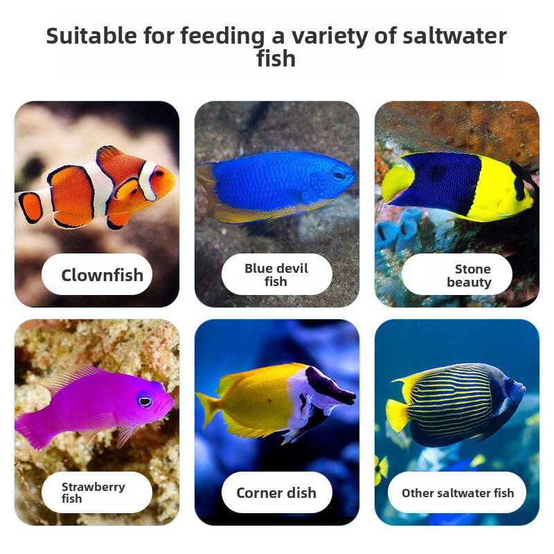 DEERA Clownfish & Tang Food |  - Fish Food Flake review and price