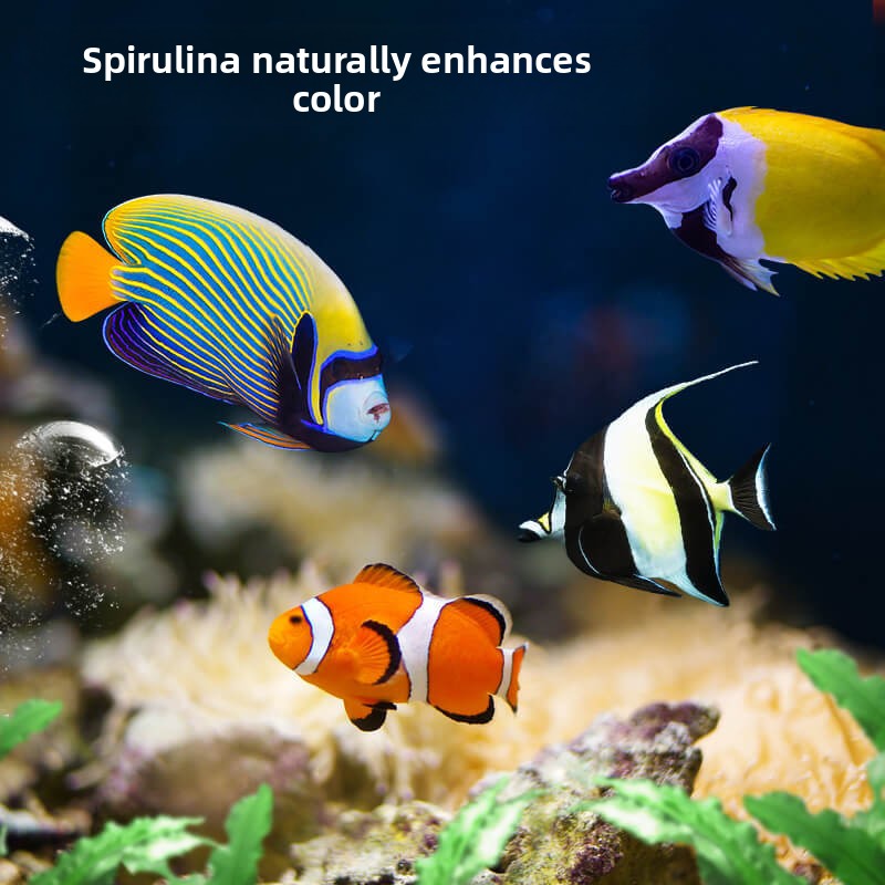 DEERA Clownfish & Tang Food |  - Fish Food Flake review and price