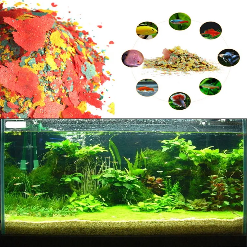 NEW Healthy Fish Food Flakes F - Fish Food Flake review and price