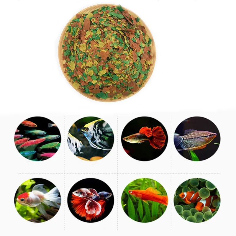 NEW Healthy Fish Food Flakes F - Fish Food Flake review and price