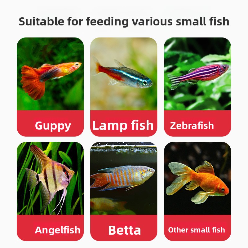 DEERA Tropical Fish Flakes, Un - Fish Food Flake review and price