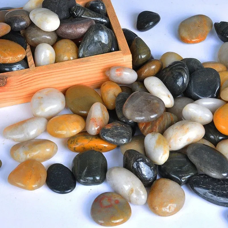 250g 500g Natural Aquarium Dec - Aquarium Fish Background review and price