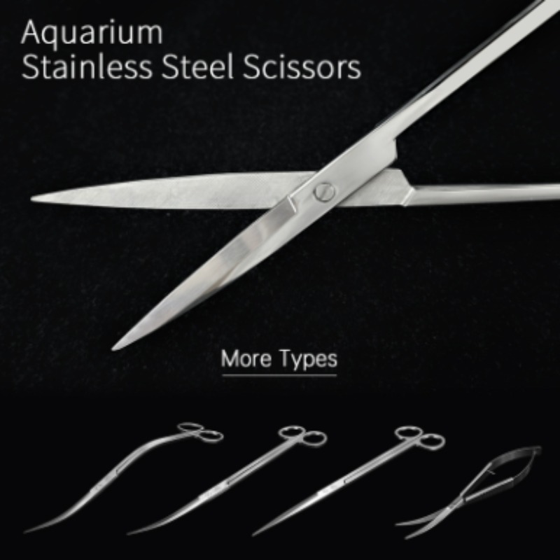 Week Aqua Stainless Steel Aqua - Aquarium Fish Photography review and price