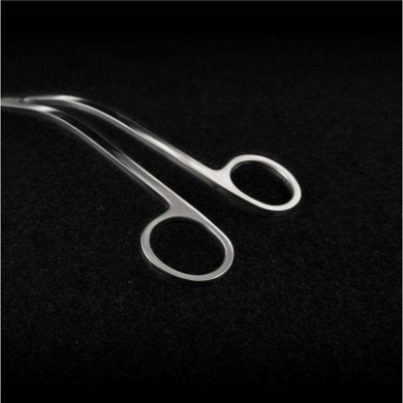 Week Aqua Stainless Steel Aqua - Aquarium Fish Photography review and price