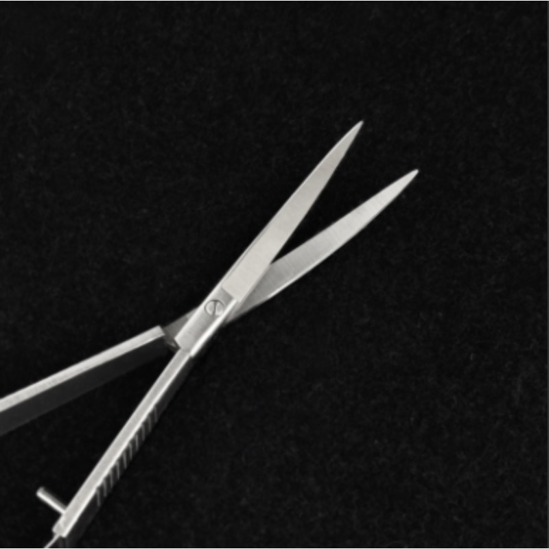 Week Aqua Stainless Steel Aqua - Aquarium Fish Photography review and price