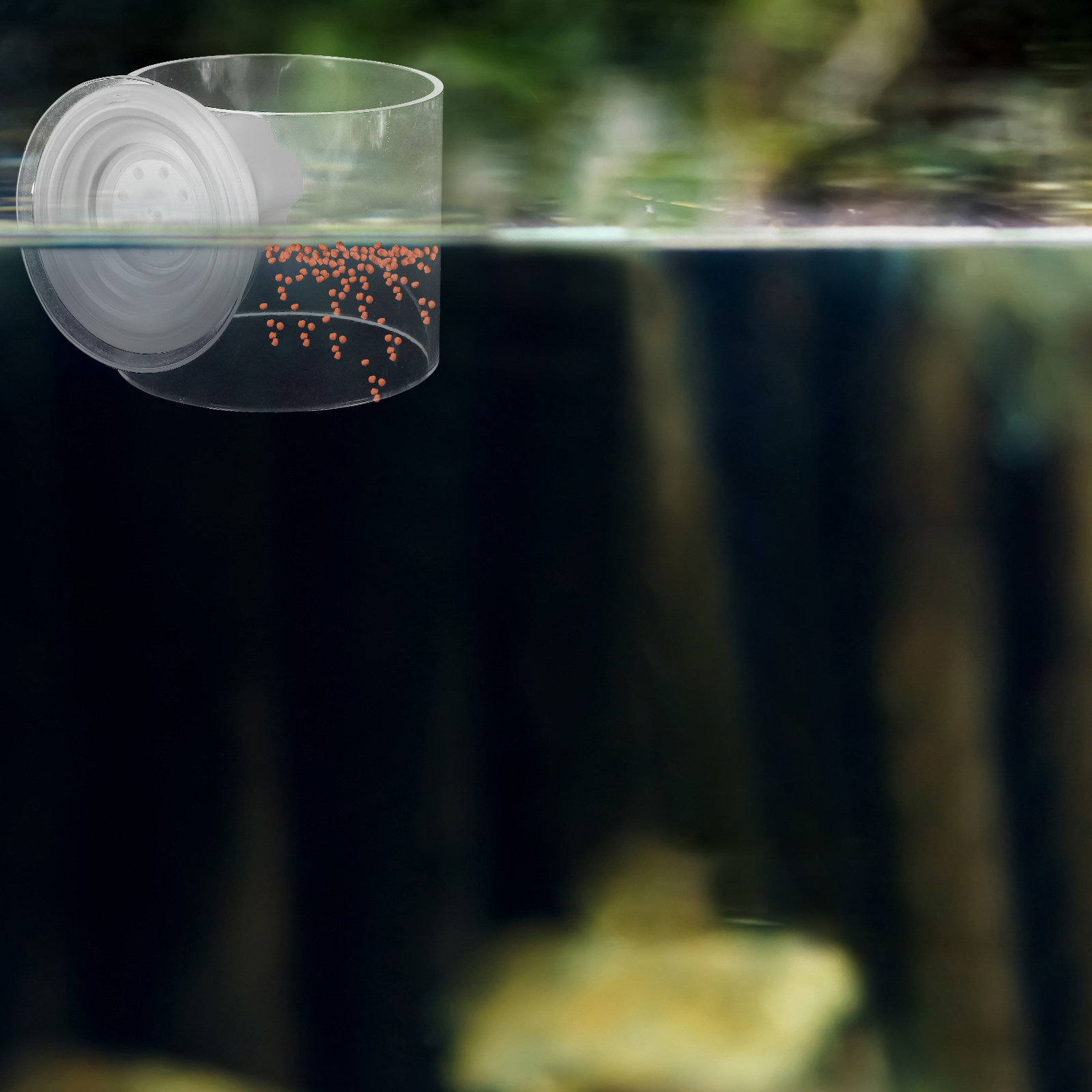 Floating Feeding Ring for Aqua - Fish Food Flake review and price
