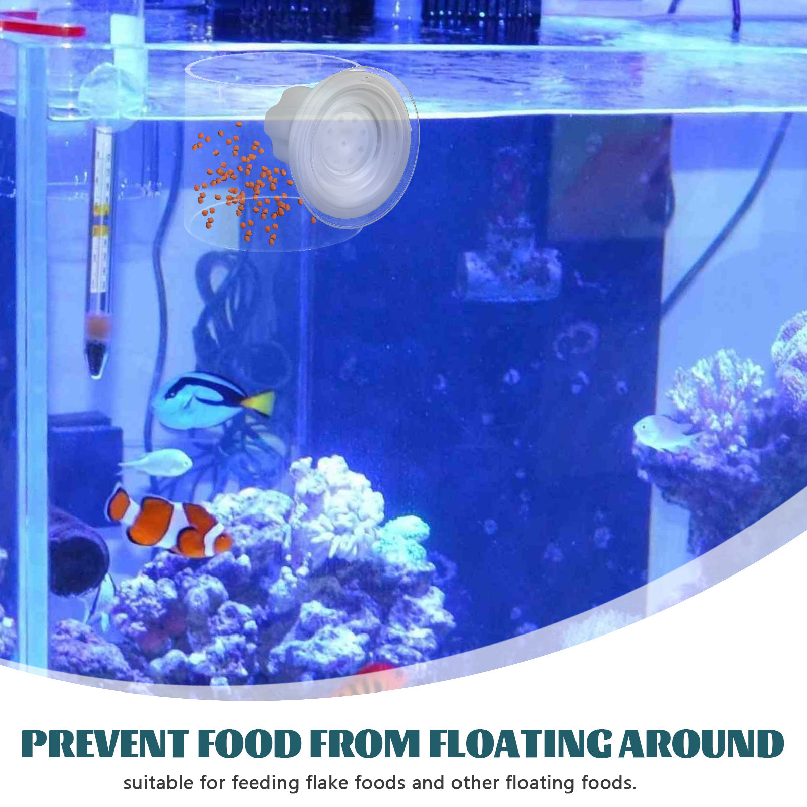Floating Feeding Ring for Aqua - Fish Food Flake review and price