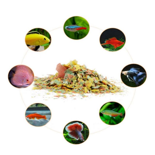 40g Fish Food Coloring and Bri - Fish Food Flake review and price