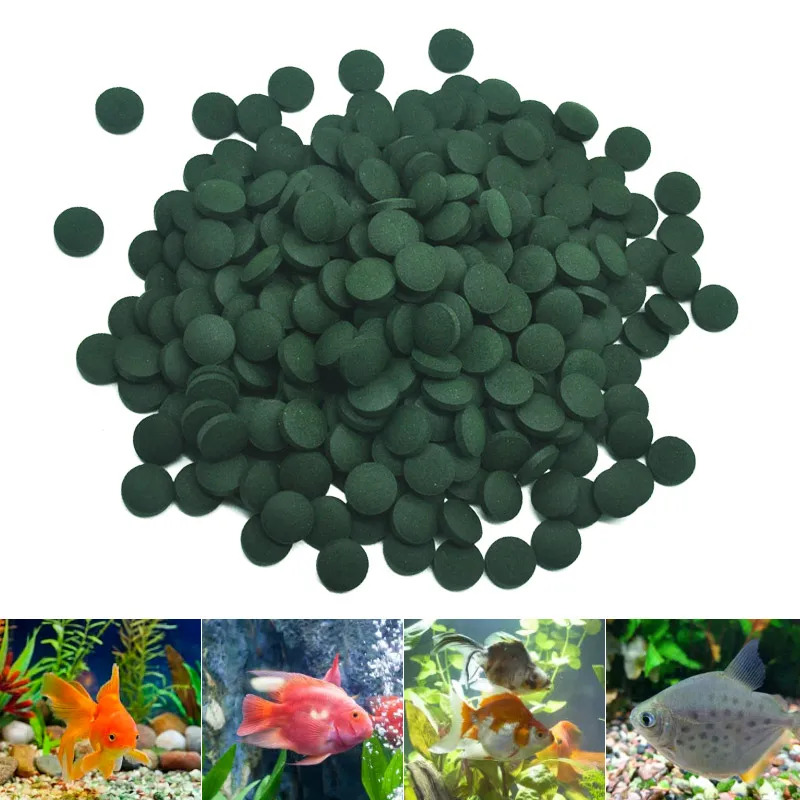 100/500/1000PCS Spirulina Flak - Fish Food Flake review and price