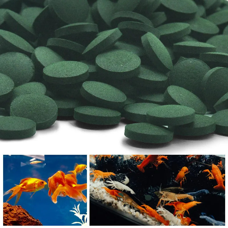 100/500/1000PCS Spirulina Flak - Fish Food Flake review and price