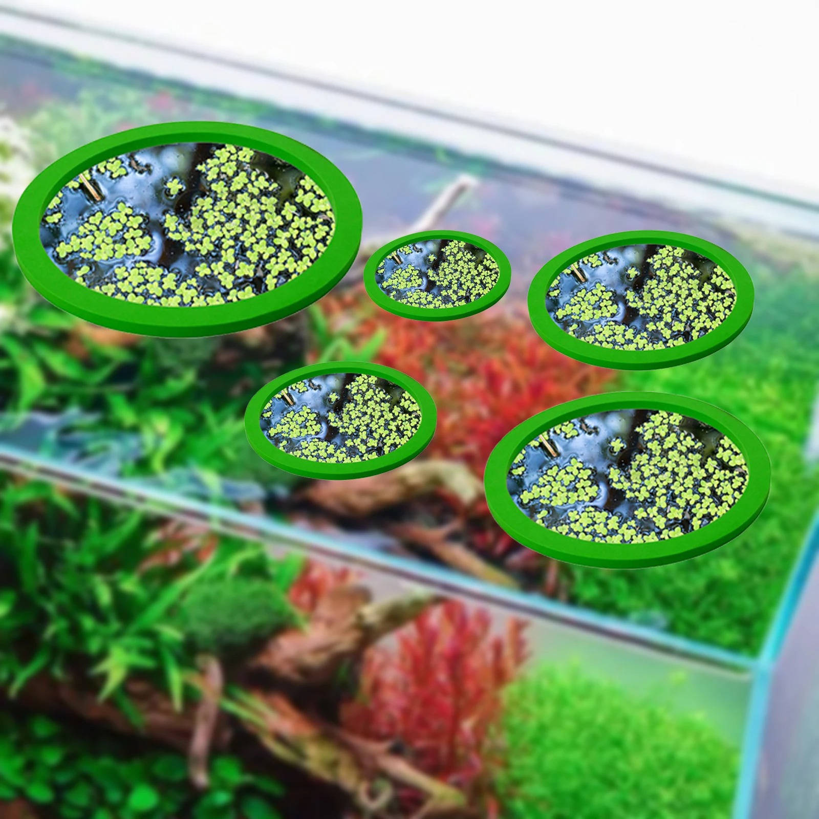 5Pcs EVA Fish Feeding Ring Aqu - Aquarium Fish Photography review and price