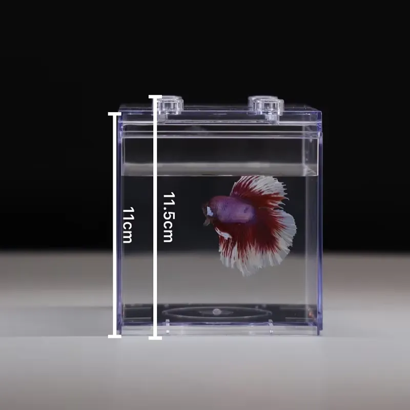 Relaxlines Mini Aquarium Box T - Aquarium Led Light review and price