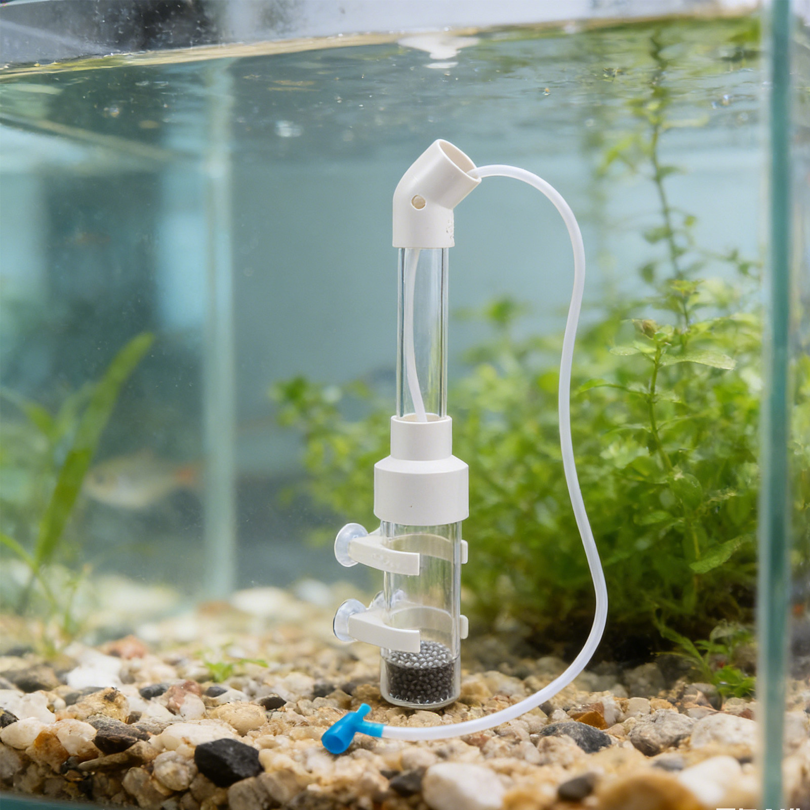2Sets Fish Egg Incubator Kit A - Box Fish In Aquarium review and price
