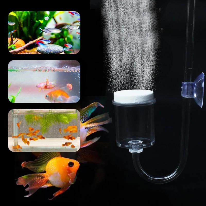 4pcs Set DIY CO2 Diffuser For  - Aquarium Fish Photography review and price